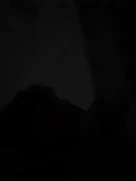 Michaell_Spinelly webcam