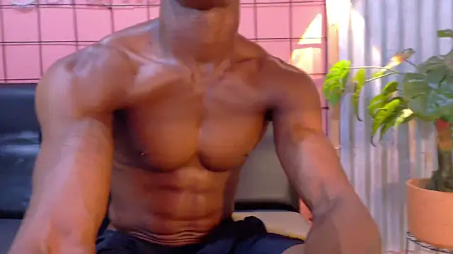 martin_killer webcam