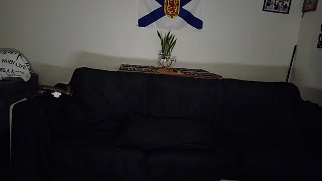 FreckleFaceBeauty webcam