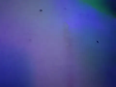 Preview chronic_vibez