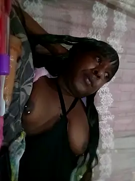 Hellentrans24 webcam