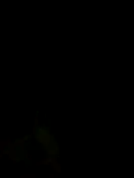 S7LEALTADPERVLIMA7 webcam