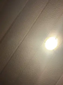 skinwalkingzombie webcam