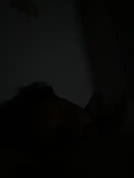 Michaell_Spinelly webcam