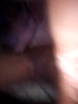 Preview of paubrasil021