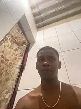 Preview of m12_danado