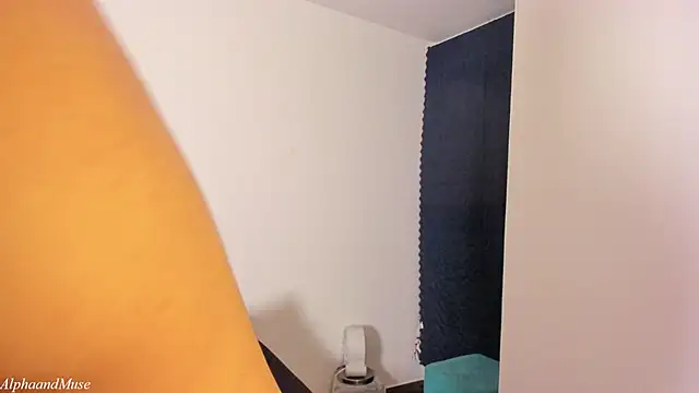 alphaandmuse webcam