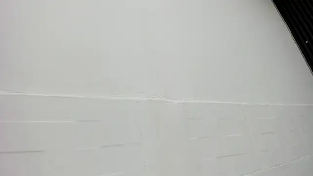 VioletRose_as webcam