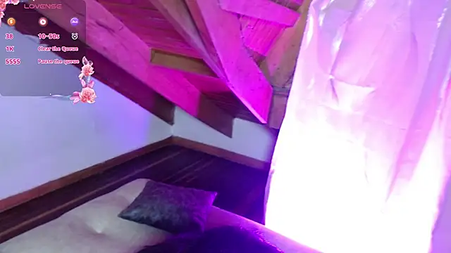 DarkSweetMini webcam