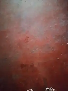 shama_jeewanthi80 webcam