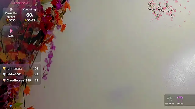 britanny_noroeste webcam