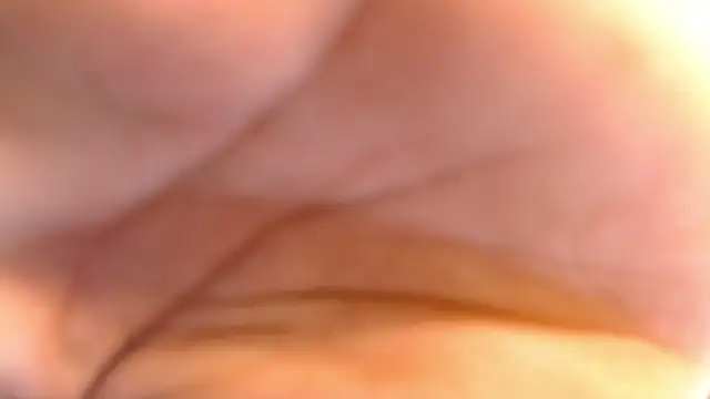 _AsianHinata_ webcam