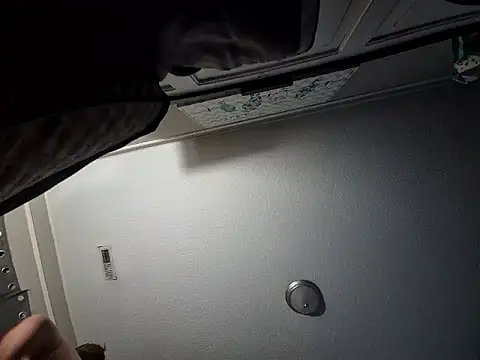 mr_girthyandsweetcheeks webcam