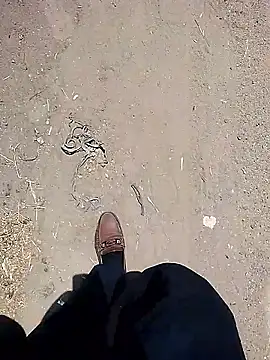 rocky_play_boy_ webcam