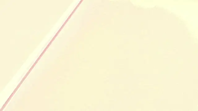 Milu_carbajal_x webcam