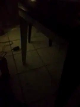 MorenoBelaAurora webcam