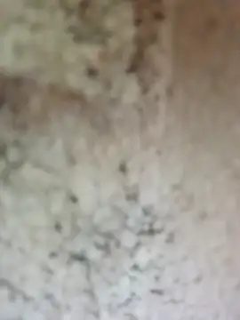 Shreya_pandit webcam