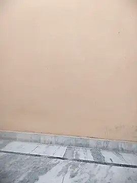 Webcam Model (Rising_Queen) is live