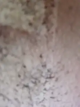 Shreya_pandit webcam