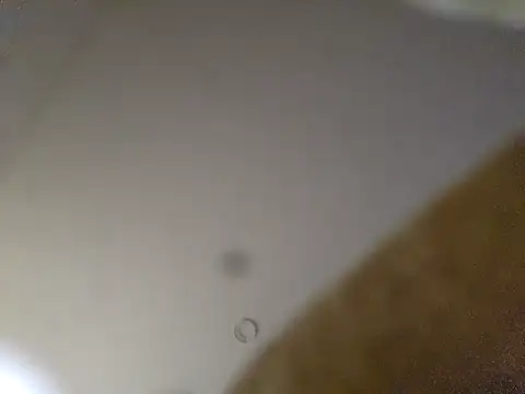 pajarol5co live sex cam