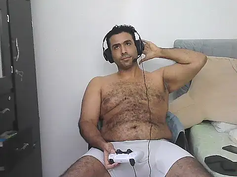 IronSideBear webcam