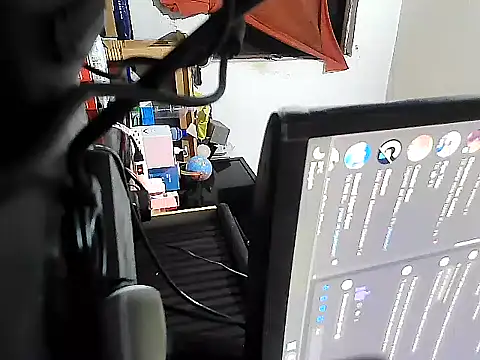 GordoChancludoSLP webcam