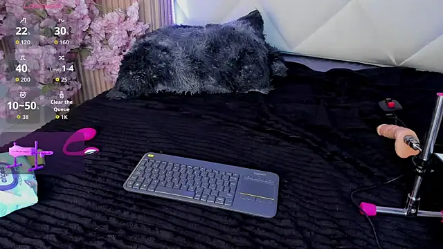 veronica_hill_ webcam