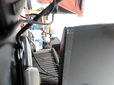 GordoChancludoSLP webcam