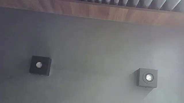 SkinnyKitten webcam