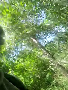 twitshe - Twitshe's free webcam - UK Sex Cams