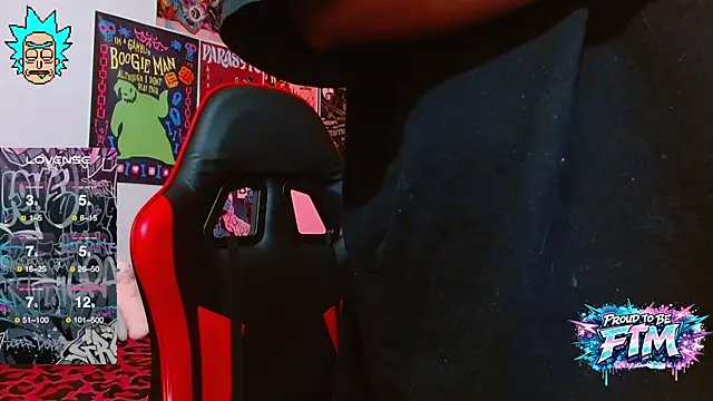 Hgp3riodictabl3 webcam