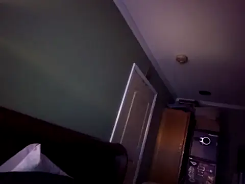 ThatPlatinumD webcam