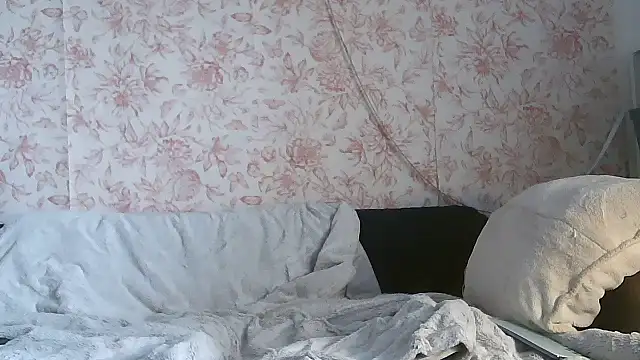 Lepimentsurpattes webcam