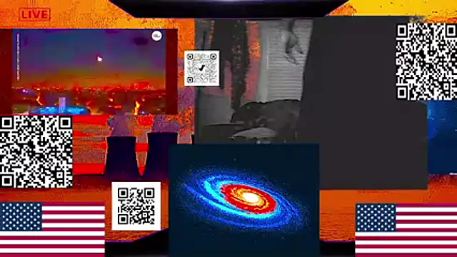 RussellTaylorLacy webcam