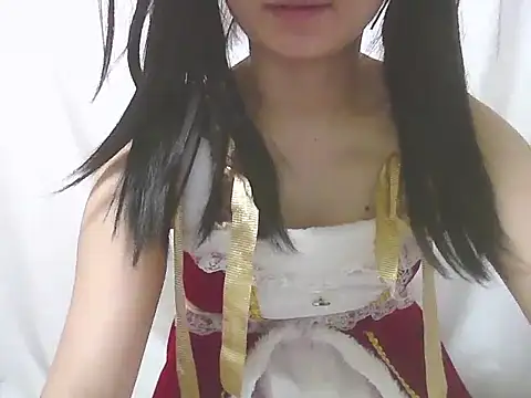 humanRobotSaki webcam