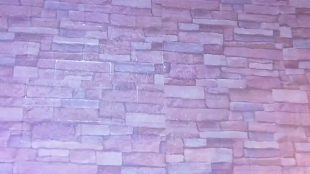 nextdoor_fantasy1 webcam