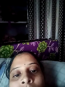 Hansikatelugu webcam