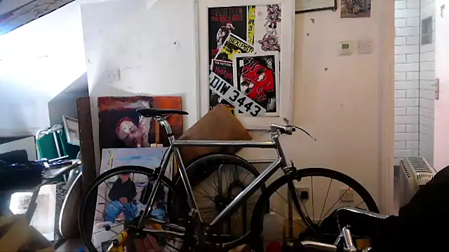 mista_sista_fista webcam