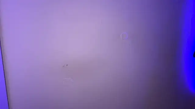 MarlysZlotnick webcam