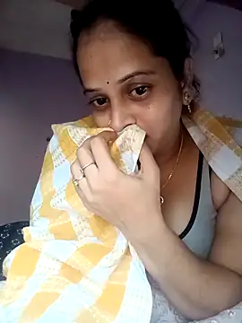 Hansikatelugu webcam