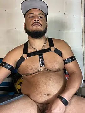 the_master_foal_ webcam