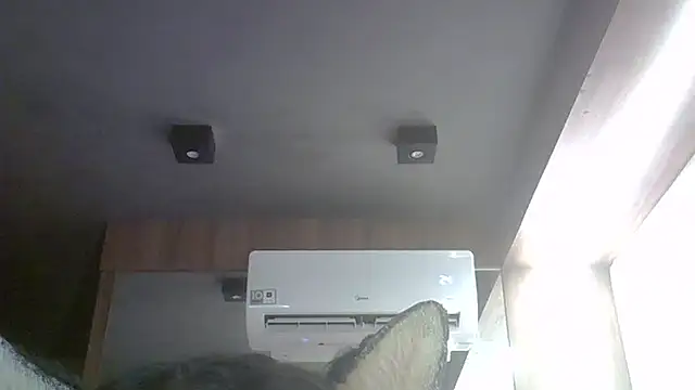 SkinnyKitten webcam