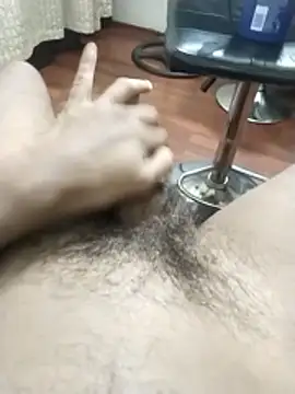 Casal-Dotadoss webcam