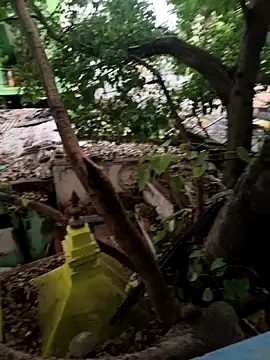 freakingcock27 webcam