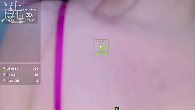 serendipity_00 webcam