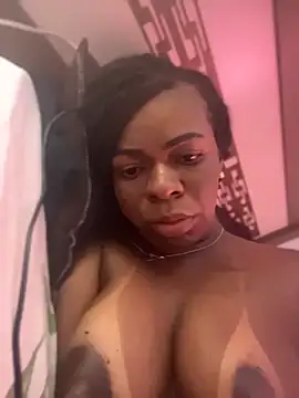 Priihmedeiros webcam