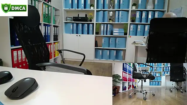 secret-office webcam