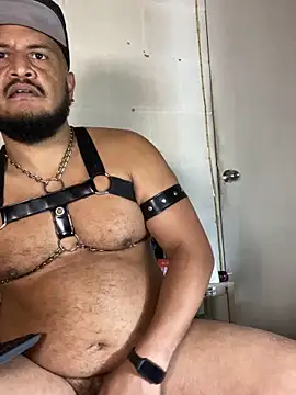 the_master_foal_ webcam