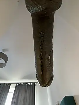 jaropol (M mature) - Orgazm