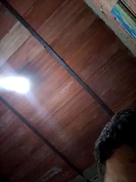 Max026_ live sex cam